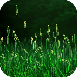 Grass Live Wallpaper.apk 1.0