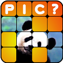 Guess the Picture