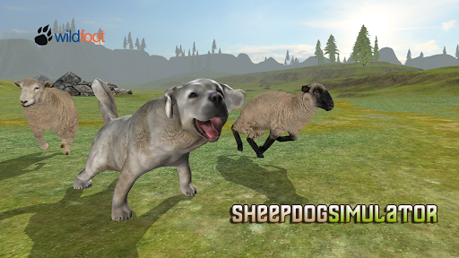 Sheepdog Simulator