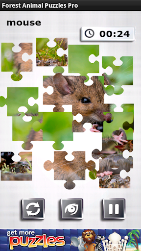 Forest Animal Puzzles Pro