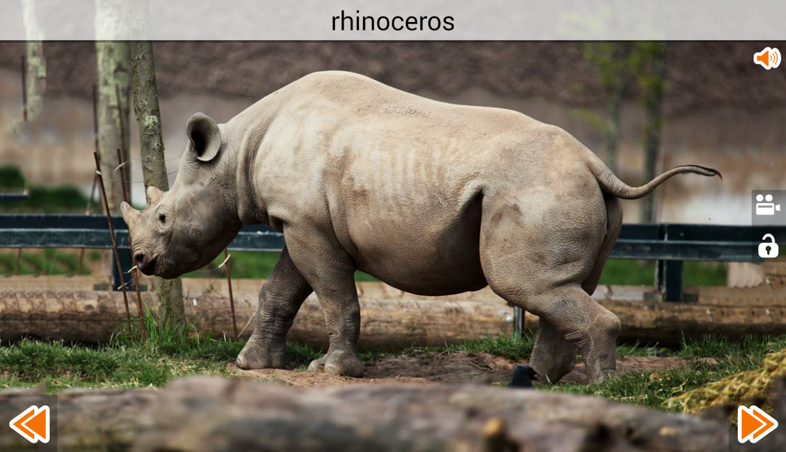 Animal Sounds - Android Apps on Google Play