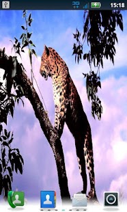 Lastest Color Leopard LWP No5 Pro APK for Android