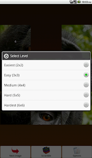 Monkey Puzzle Screenshots 7