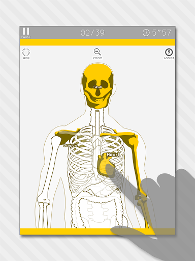 【免費解謎App】Enjoy Learning Anatomy puzzle-APP點子