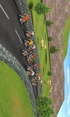 Cycling 2011