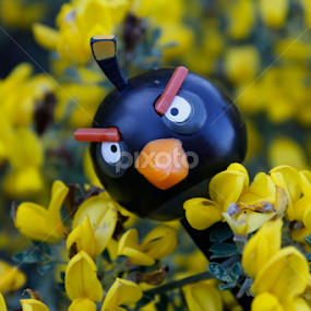 Hungry Bird by Breno Teixeira - Artistic Objects Toys