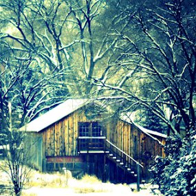 by Candy (Ellison) Downs - Landscapes Weather