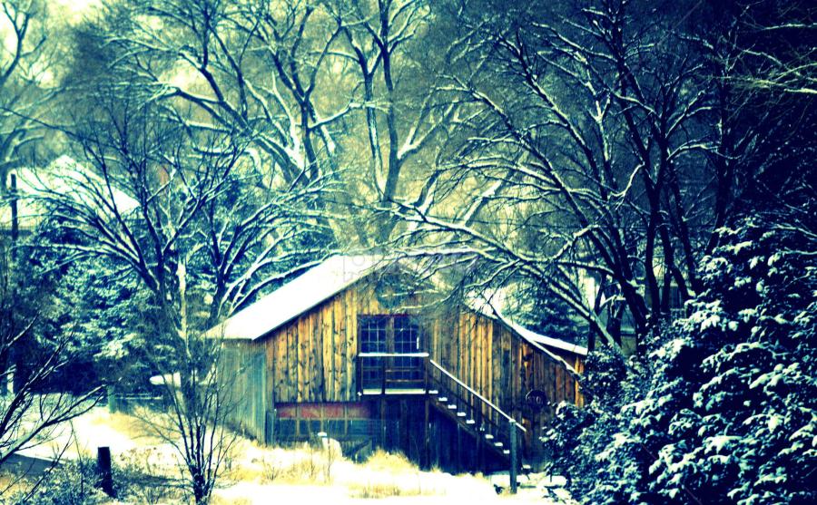 by Candy (Ellison) Downs - Landscapes Weather