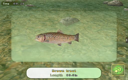 【免費體育競技App】Fly Fishing 3D-APP點子