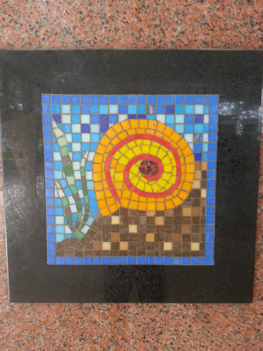 Water Snail Mosaic 