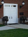 Elephant Guards