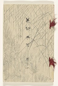 Wereld der Kunsten - 14