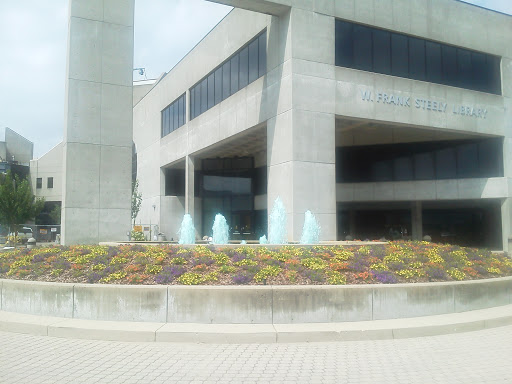 Steely Library Fountain 