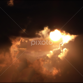 HIDE AND SEEK.... by Annesha Dasgupta - Nature Up Close Other Natural Objects