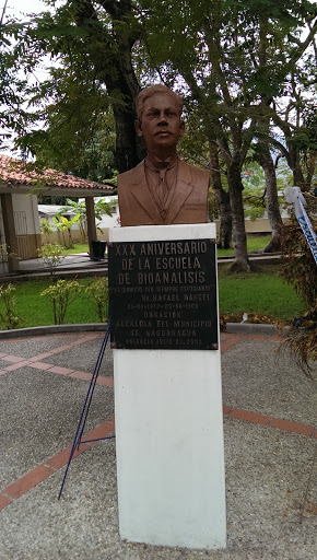 Busto Rafael Rangel Bioanalisis 