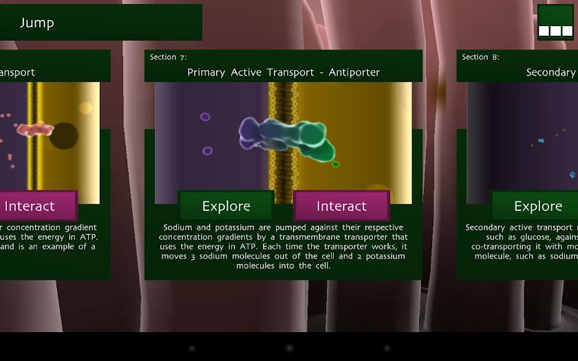 Biology Bytes - Transporters Screen 2