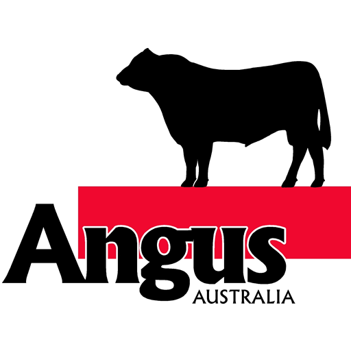 Angus 商業 App LOGO-APP開箱王