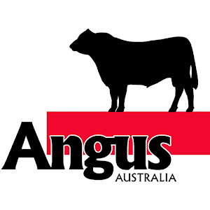 Angus.apk 4.1.0