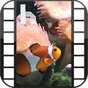 Ocean Fish Free Homescreen