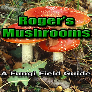 Roger Phillips Mushrooms Lite  Icon