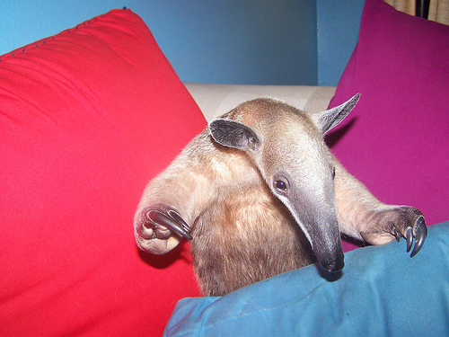 [502992422_e5c7bae379.jpg]