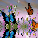 Butterflies Live Wallpaper icon