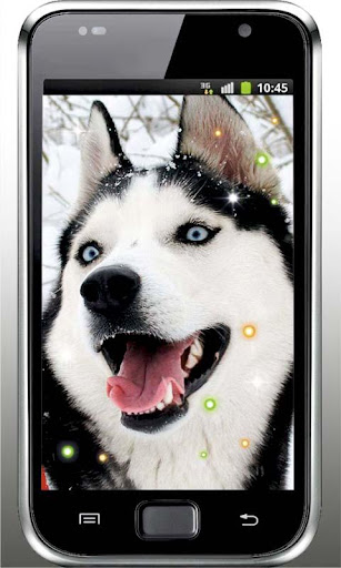 Dog Voices live wallpaper