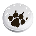 Dog Frisbee icon