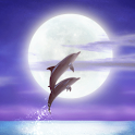 Dolphin-RYUKYU HEALING logo