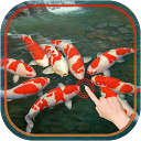 Magic Touch : Koi Fish mobile app icon
