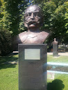Bust Iancu de Hunedoara