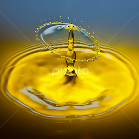 by Muhamad Firman - Abstract Water Drops & Splashes
