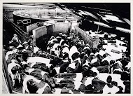 Groot rundveebedrijf