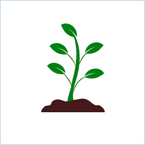 Buy From Farm Farmers' Market