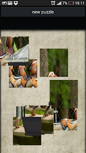 How to download Puzzle birds 1.0.2 apk for bluestacks