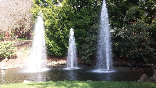 Glenbrook Fountains