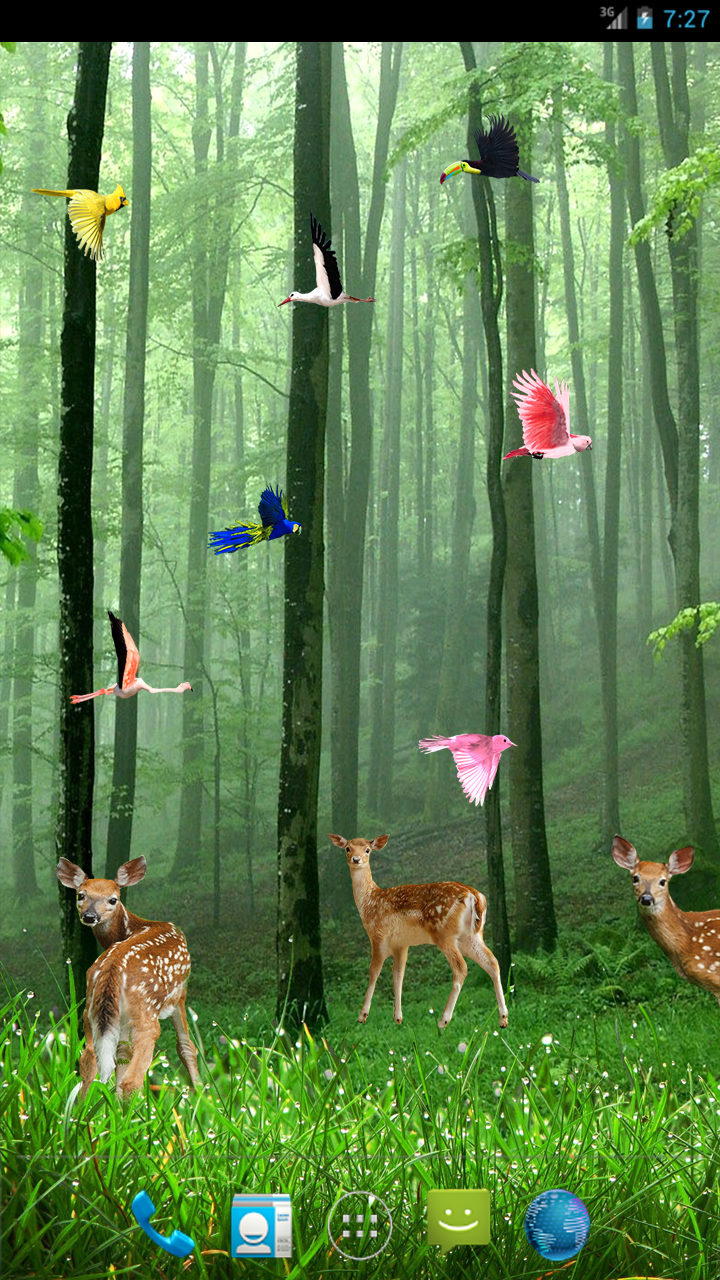 Rain Forest LWP Screen 2
