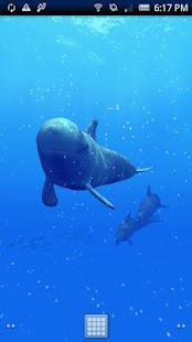 Cetacea Trial Screenshots 2