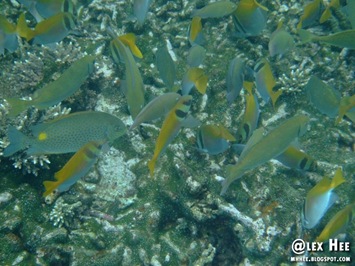 DSCF0683