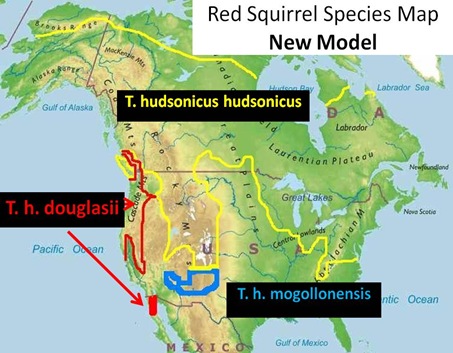 Red Squirrel Species Map New Model