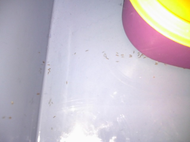 [28-10-08_1521[15].jpg]