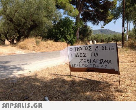 ο ΤΡΑΓΟΣ ΔΕΧΕΤΕ ΓΙΔΕΣ ΓΙΑ ΖΕΥΓΑΡΟΑΊΑ 