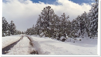 NIEVE
