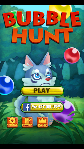 Bubble Hunt - puzzle game