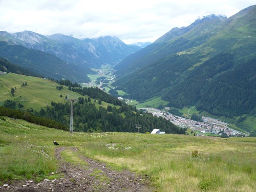 [P1010385[2].jpg]