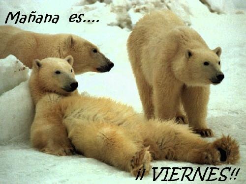 [ososdescansando[4].jpg]