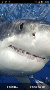 How to get Shark Live Wallpaper 1.1 unlimited apk for pc