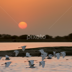 Let's go. Sun is setting down by Shobhit Tiwari - Landscapes Travel