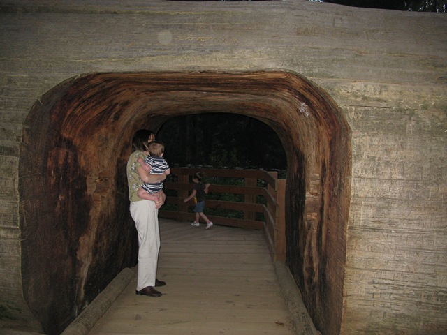 [IMG_08592.jpg]