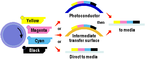 52colour